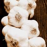 Priprava na upirov...